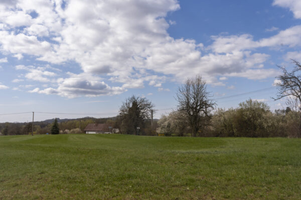 DSC09748